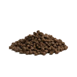 Lot de 3 x 2,5 Kg ESTATE LIVING PETIT CHIEN